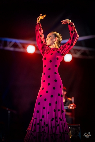 flamenco (65)